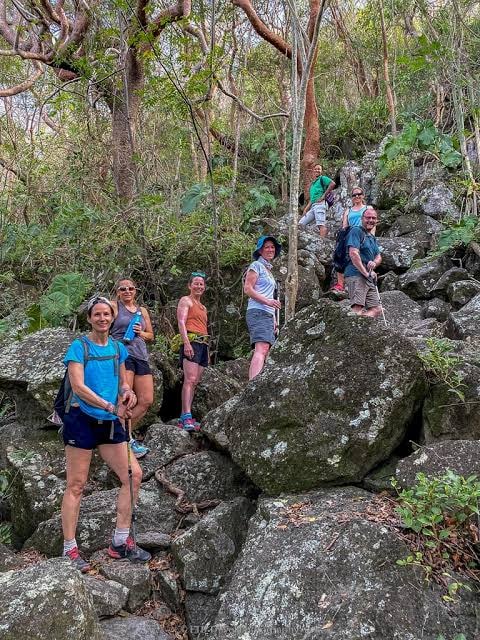Lush tropical rainforest trail winding through Gros Piton